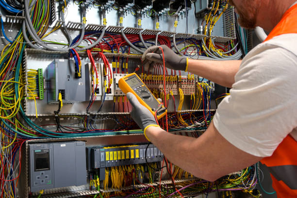 Best Electric Panel Repair  in Lake Mary Jane, FL